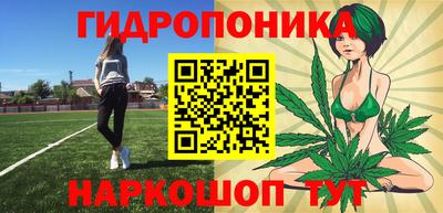 молекула духа Шахты