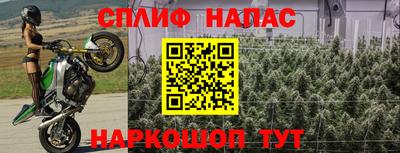 гашик Чебаркуль