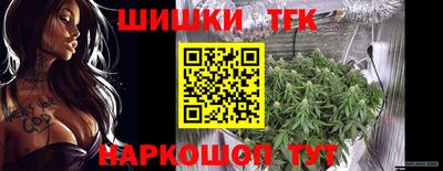 индика Шелехов